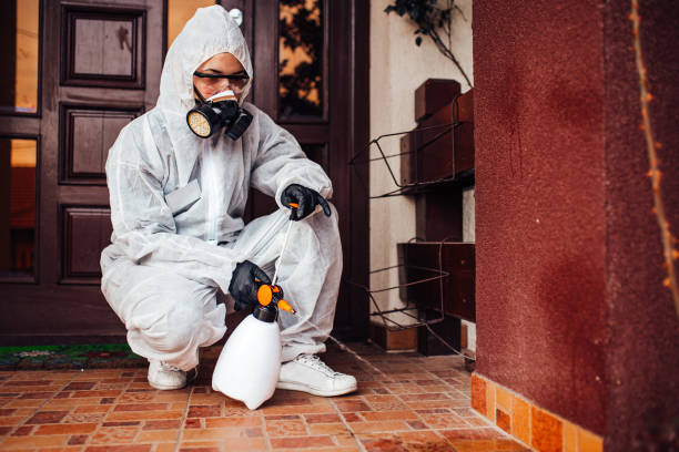 Reliable Bed Bug Control contractor in Tornado, WV by Nex Pest Control